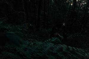 BIB: 
                            <button type="button" onclick="openModal(22790106)" class="btn btn-primary btn-sm float-right btn-popup" data-toggle="modal" data-target=".modal-high-quality">
                        <i class="fas fa-shopping-cart"></i> Add to Cart
                    </button>
                                            <button type="button" onclick="isThisMe(22790106, true)" class="btn btn-success btn-sm float-right btn-popup btn-isme hidden" data-toggle="tooltip" data-placement="bottom" title="นี่คือรูปของคุณใช่ไหม คลิกที่นี่เพื่อเอาเข้าอัลบั้ม">
                        <i class="fas fa-plus"></i> Add to album
                    </button>
                    <button type="button" onclick="isThisMe(22790106, false)" class="btn btn-warning btn-sm float-right btn-popup btn-isnotme hidden">
                        <i class="fas fa-ban"></i> Remove from album
                    </button>